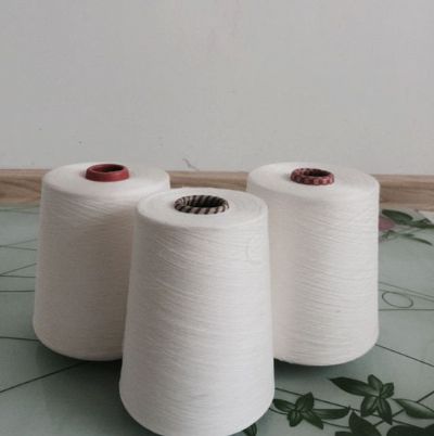 點擊查看詳細信息<br>標題：賽絡(luò)紡人棉紗 閱讀次數(shù)：2842