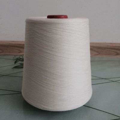 點擊查看詳細信息<br>標題：緊密賽絡(luò)紡人棉紗 閱讀次數(shù)：3405