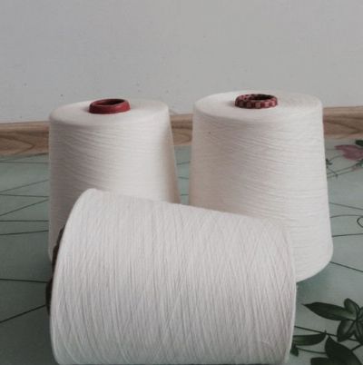 點擊查看詳細信息<br>標題：環(huán)錠紡人棉紗 閱讀次數(shù)：2889