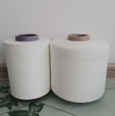 點(diǎn)擊查看詳細(xì)信息<br>標(biāo)題：渦流紡滌綸紗 閱讀次數(shù)：2675