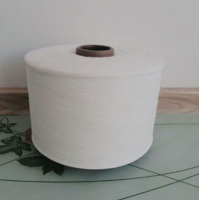 點(diǎn)擊查看詳細(xì)信息<br>標(biāo)題：氣流紡滌綸紗 閱讀次數(shù)：2414