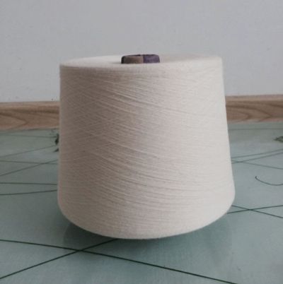 點擊查看詳細(xì)信息<br>標(biāo)題：精梳純棉紗 閱讀次數(shù)：2872