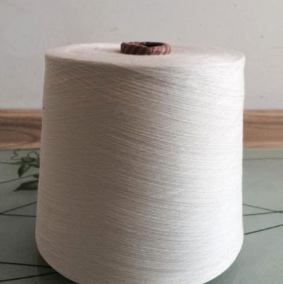 點擊查看詳細(xì)信息<br>標(biāo)題：環(huán)錠紡竹纖維紗 閱讀次數(shù)：2600