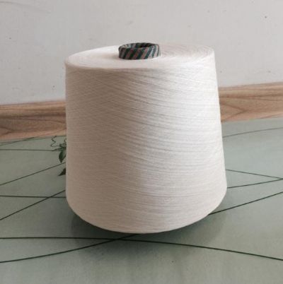 點擊查看詳細信息<br>標題：G100天絲紗 閱讀次數(shù)：2946