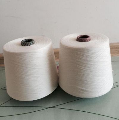 點擊查看詳細信息<br>標題：A100天絲紗 閱讀次數(shù)：3364
