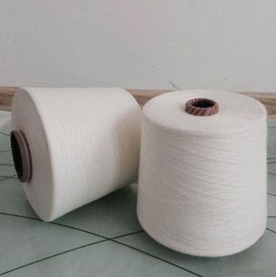點(diǎn)擊查看詳細(xì)信息<br>標(biāo)題：腈綸粘膠混紡紗 閱讀次數(shù)：2799