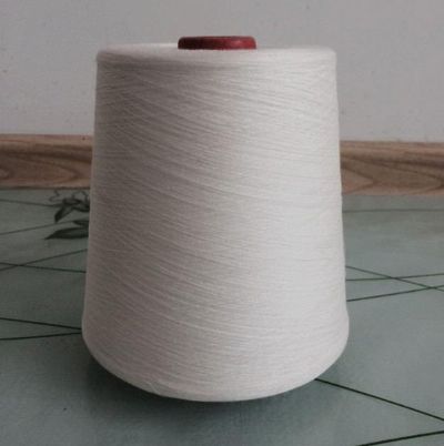 點(diǎn)擊查看詳細(xì)信息<br>標(biāo)題：絹絲粘膠混紡紗 閱讀次數(shù)：3598