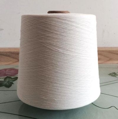 點擊查看詳細信息<br>標題：維綸紗 閱讀次數(shù)：3462