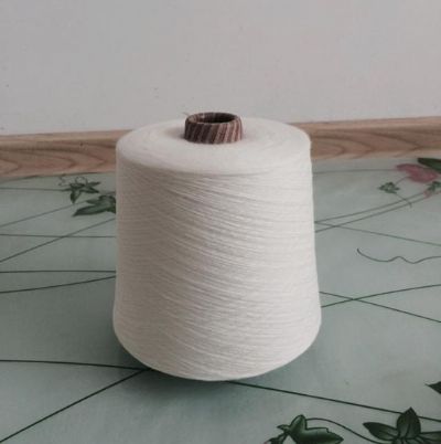 點(diǎn)擊查看詳細(xì)信息<br>標(biāo)題：膨體腈綸紗 閱讀次數(shù)：3179