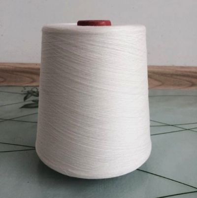 點(diǎn)擊查看詳細(xì)信息<br>標(biāo)題：緊密紡純棉紗 閱讀次數(shù)：11902