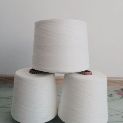 點(diǎn)擊查看詳細(xì)信息<br>標(biāo)題：仿大化滌綸紗 閱讀次數(shù)：4898