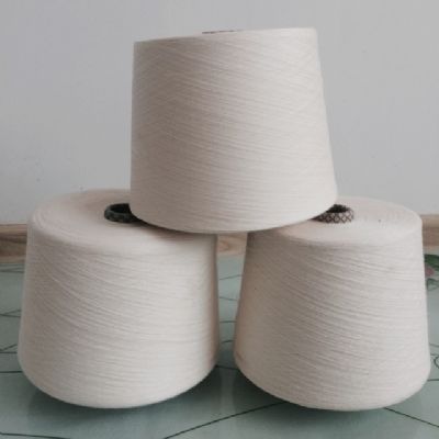 點(diǎn)擊查看詳細(xì)信息<br>標(biāo)題：棉粘混紡紗 閱讀次數(shù)：4974