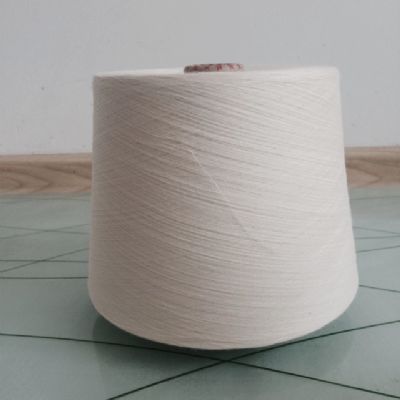 點擊查看詳細(xì)信息<br>標(biāo)題：緊密賽絡(luò)紡竹纖維紗 閱讀次數(shù)：4428