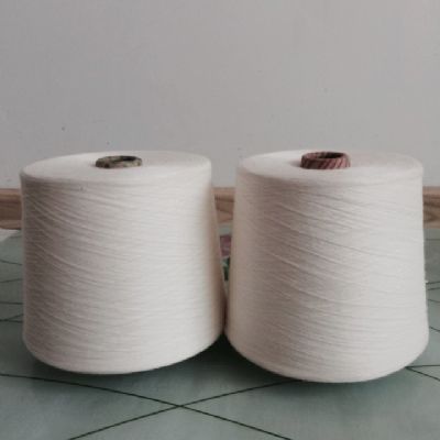 點擊查看詳細(xì)信息<br>標(biāo)題：阻燃腈綸紗 閱讀次數(shù)：4959