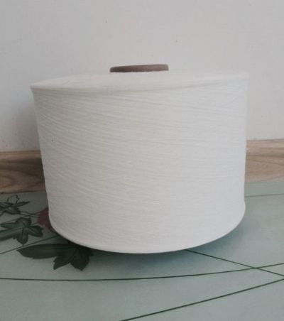 點(diǎn)擊查看詳細(xì)信息<br>標(biāo)題：噴氣紡滌綸紗 閱讀次數(shù)：10028