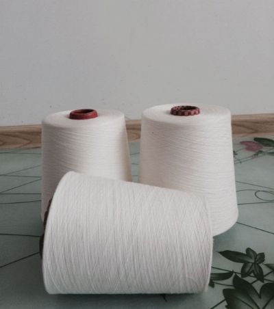 點擊查看詳細信息<br>標題：環(huán)錠紡滌綸紗 閱讀次數(shù)：9885