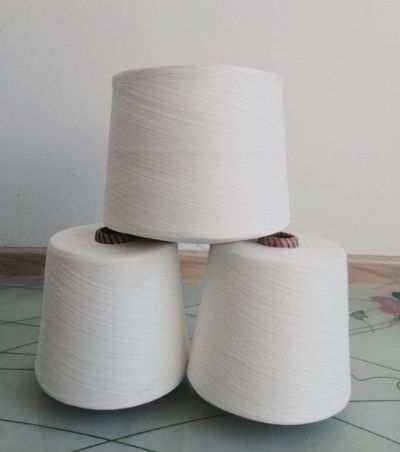 點擊查看詳細(xì)信息<br>標(biāo)題：阻燃滌綸紗 閱讀次數(shù)：4673