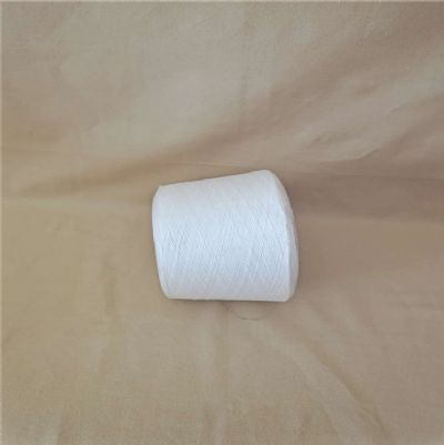 點(diǎn)擊查看詳細(xì)信息<br>標(biāo)題：阻燃滌綸紗的功能介紹 閱讀次數(shù)：1036