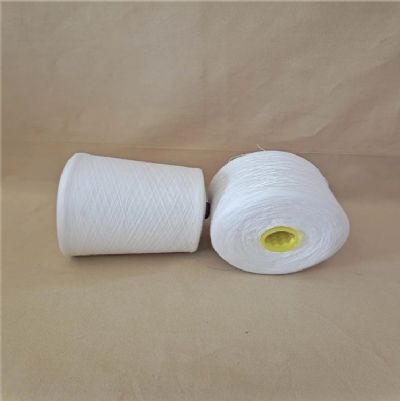 點擊查看詳細信息<br>標題：純棉合股紗 閱讀次數(shù)：902